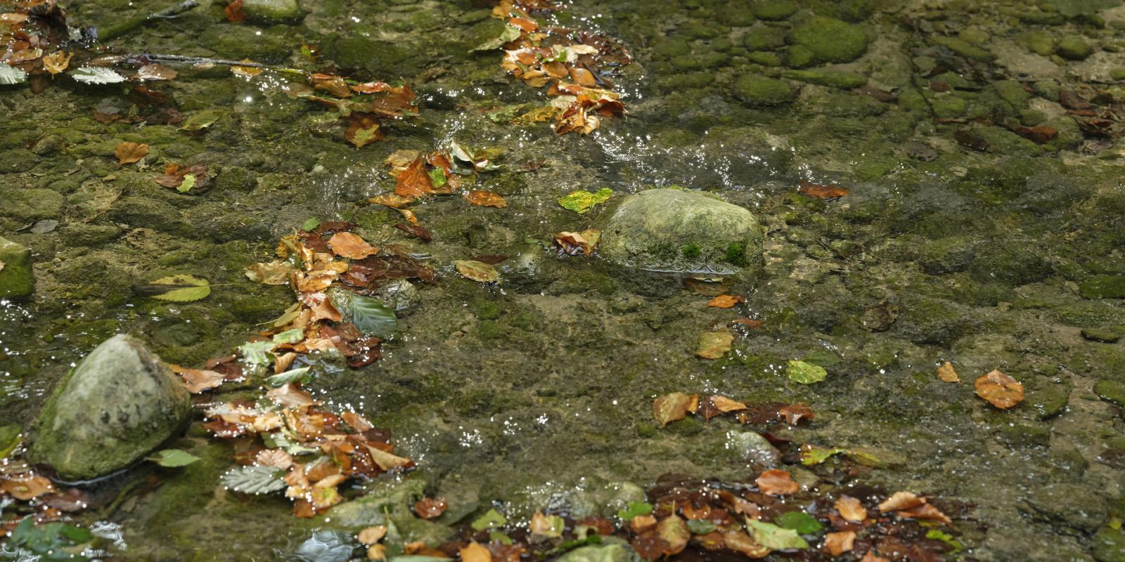 Wenn eine Beziehung endet – und eine neue Lebensphase beginnt